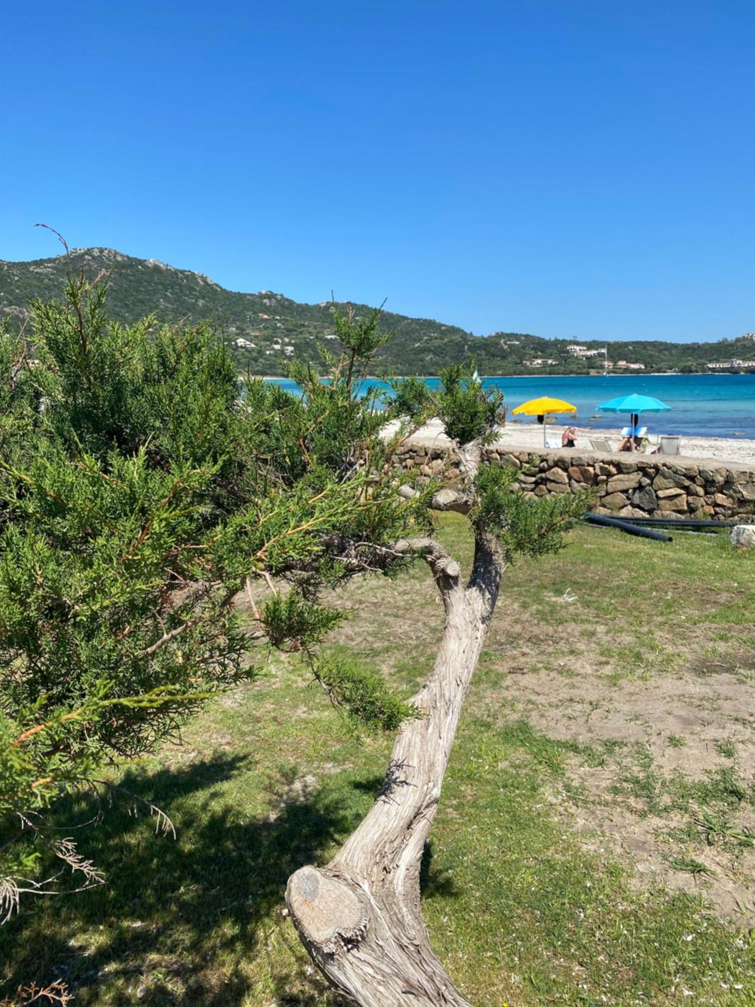 Cala Reale Rooms Marinella Marinella  Eksteriør billede
